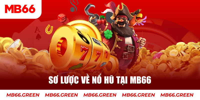 mcw858 hết slot la gì