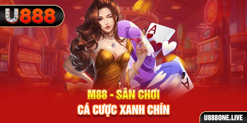 mcw858 kết quả xổ số miền trung hôm nay