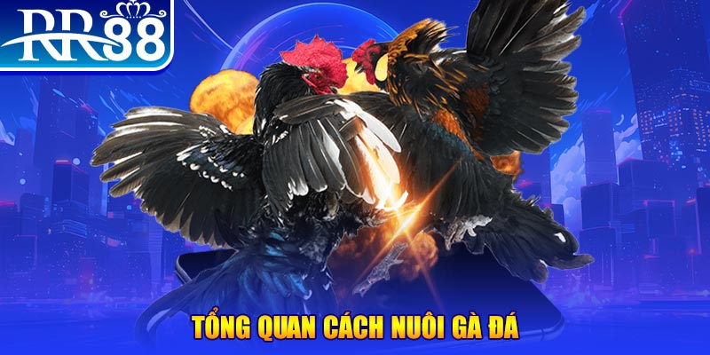 mcw858 game nổ hũ rút tiền mặt là gì
