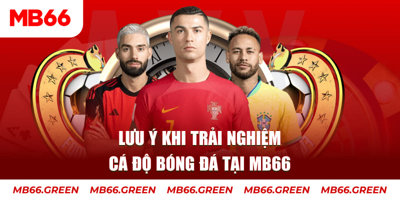 mcw858 Ba viên xúc xắc