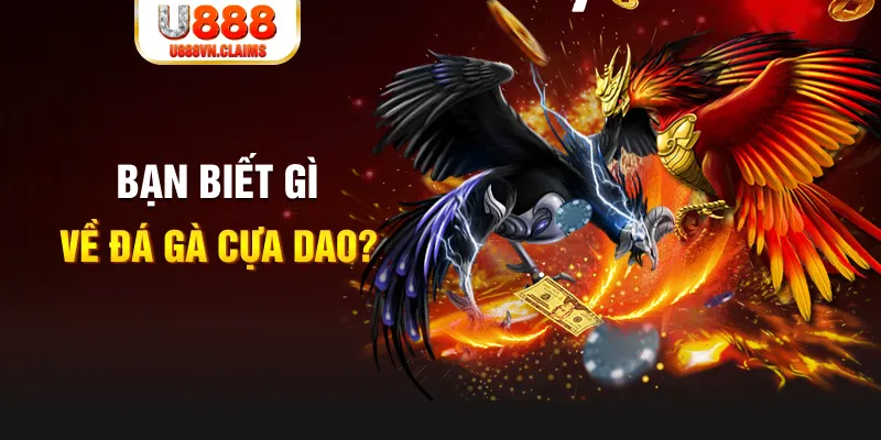 mcw858 SW Xổ Số