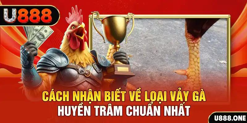 mcw858 đăng nhập nổ hũ số 1