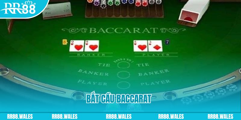 mcw858 what are the best online casino games