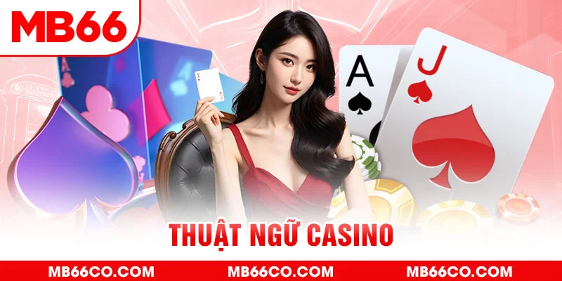 mcw858 gà chọi c1 mới nhất
