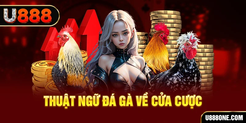 mcw858 hơn cả bạn bè