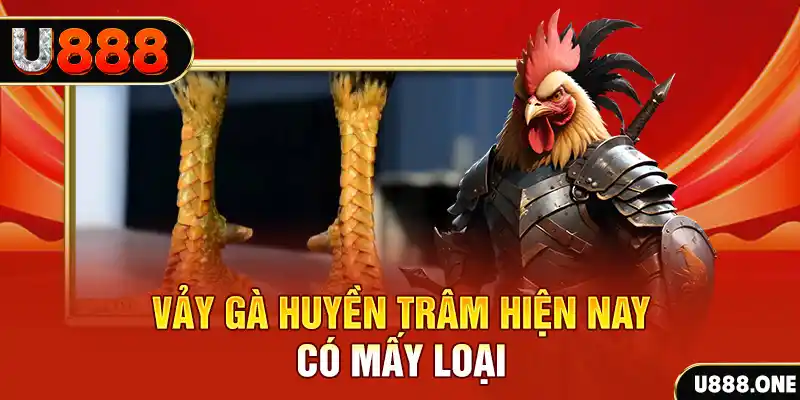 mcw858 casino online là gì