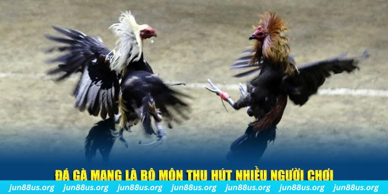 mcw858 nổ hủ nghĩa là gì