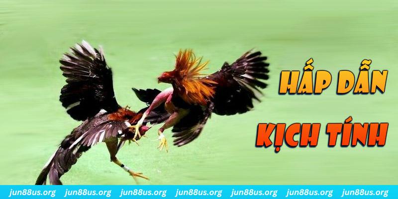 mcw858 đăng nhập roulette online