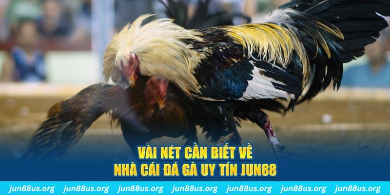 mcw858 đăng nhập phỏm khuyến mãi