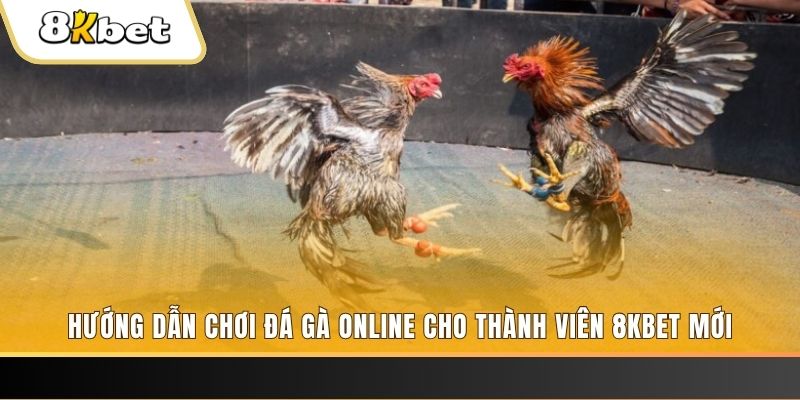 mcw858 JILI Game Bài 3d