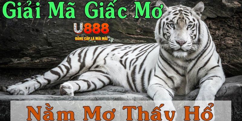 mcw858 xổ số miền bắc xổ số miền bắc