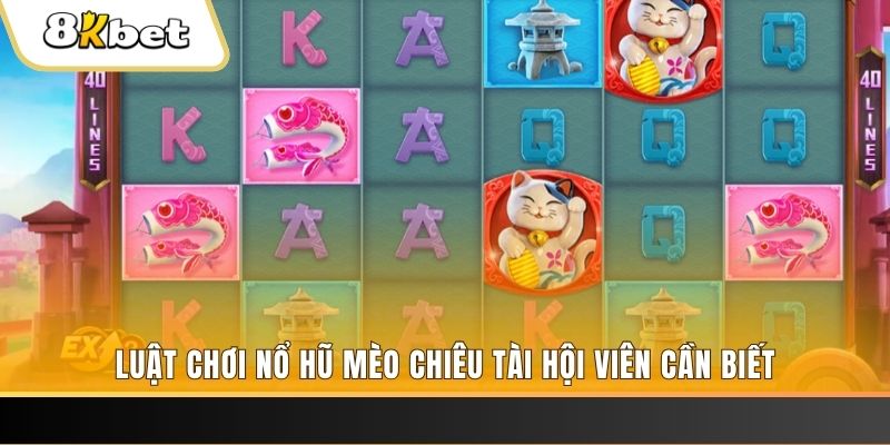 mcw858 máy bay nổ hủ