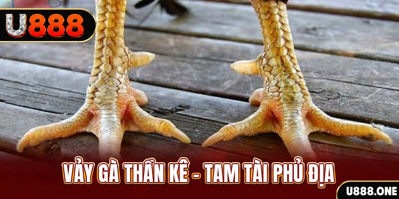 mcw858 xổ số miền trung thứ hai hàng tuần