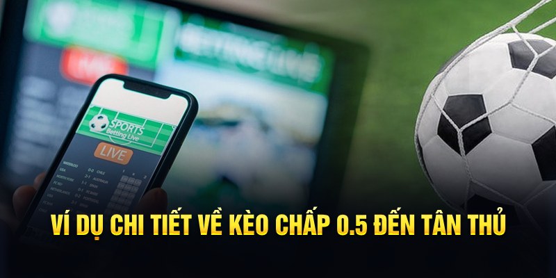 mcw858 RTG Game Bài 3d