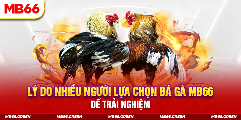 mcw858 đăng nhập liêng trực tiếp
