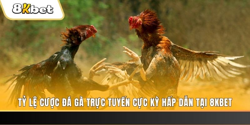 mcw858 đăng nhập nổ hũ trực tuyến
