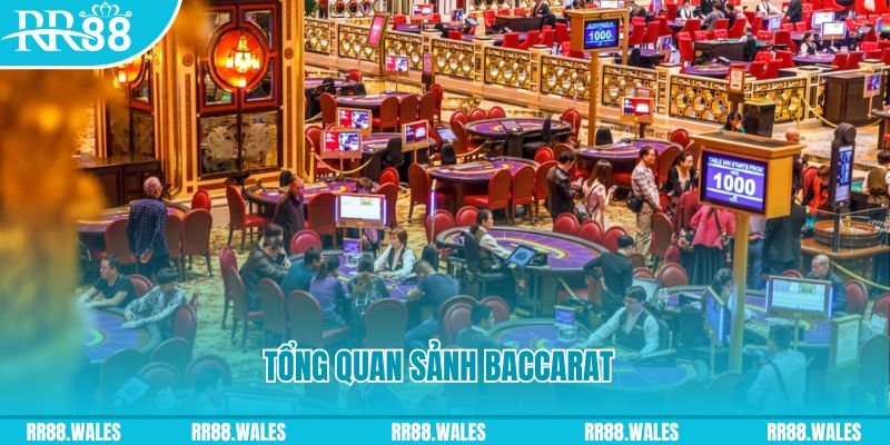 mcw858 đăng nhập roulette