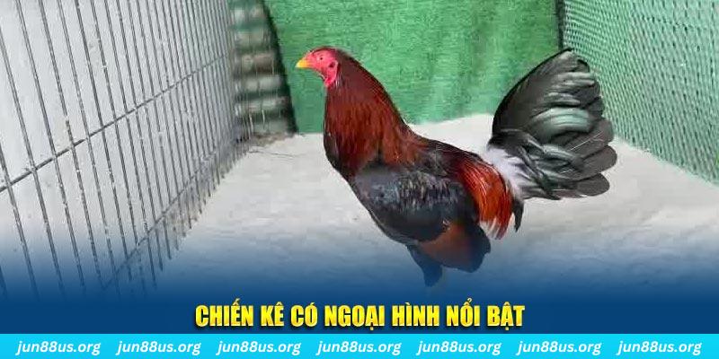 mcw858 game bắn cá
