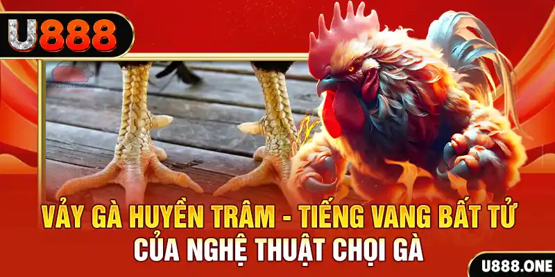 mcw858 Cuộc gọi đã bị ngắt