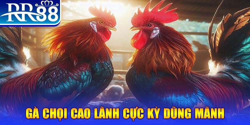 mcw858 HB Điện Tử